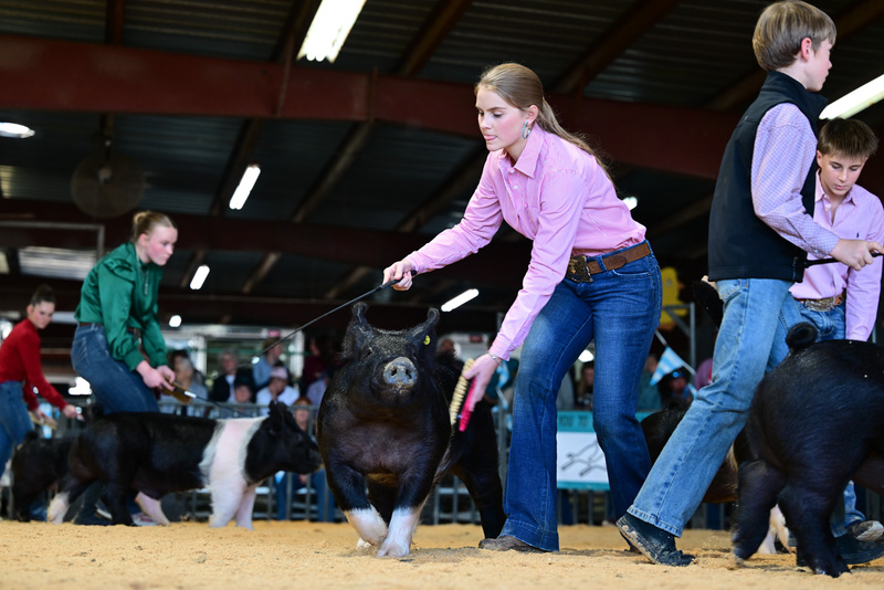 25GTT- RingAHamps-8456.jpg