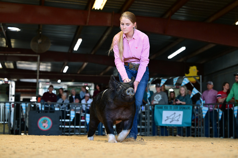 25GTT- RingAHamps-8457.jpg