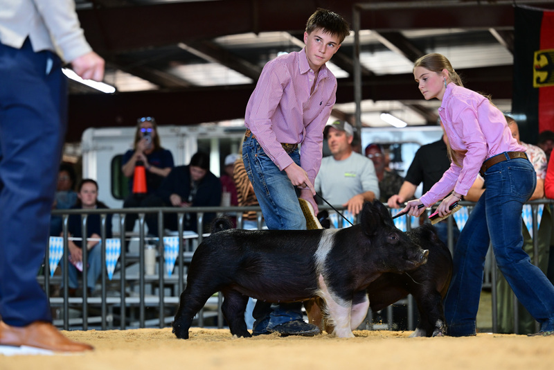 25GTT- RingAHamps-8459.jpg