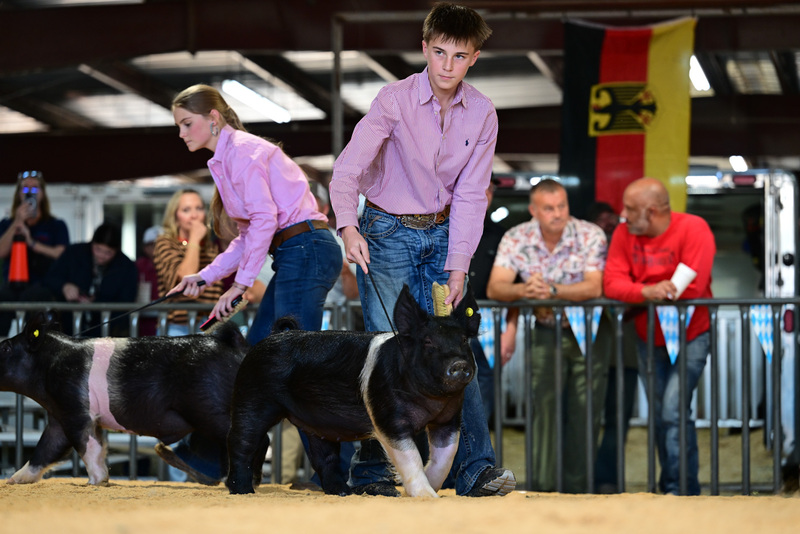 25GTT- RingAHamps-8460.jpg