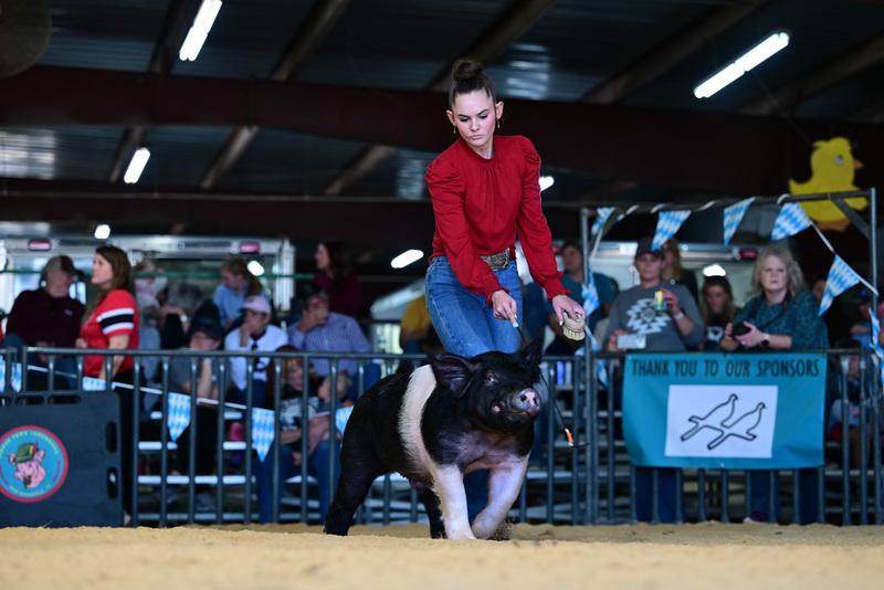 25GTT- RingAHamps-8461.jpg