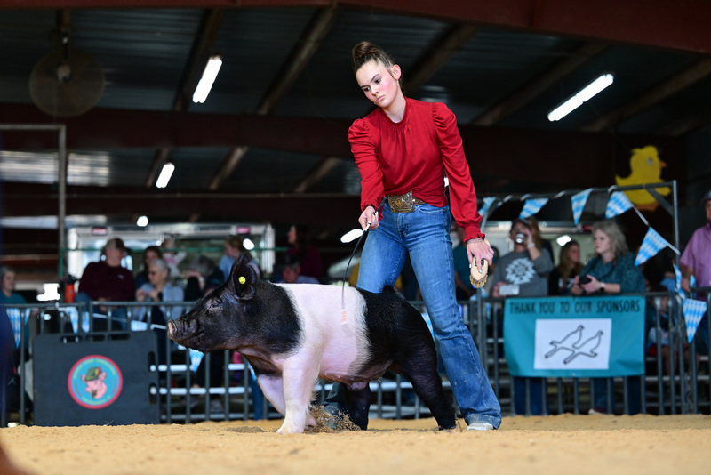 25GTT- RingAHamps-8462.jpg