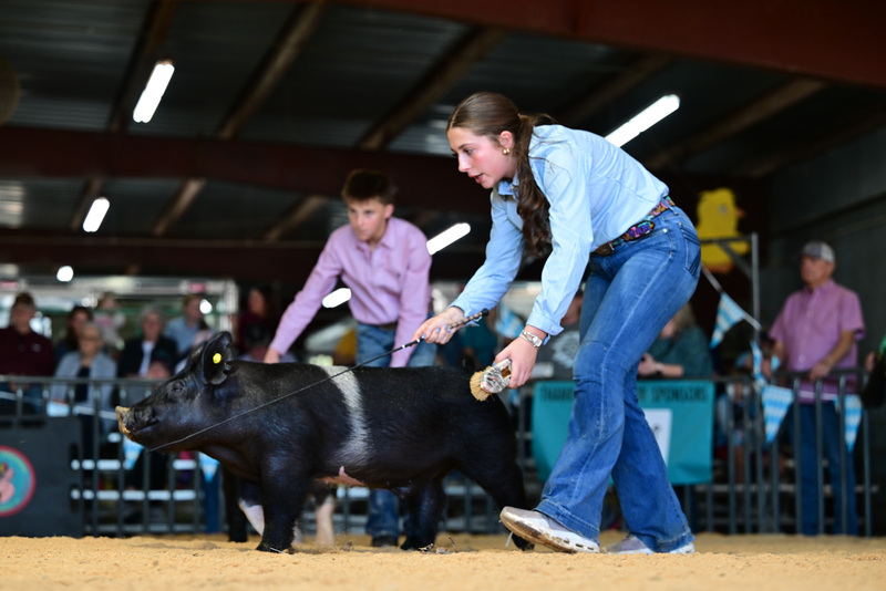 25GTT- RingAHamps-8467.jpg