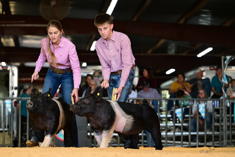 25GTT- RingAHamps-8468.jpg