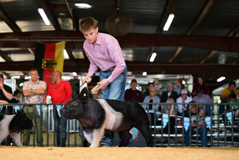 25GTT- RingAHamps-8470.jpg