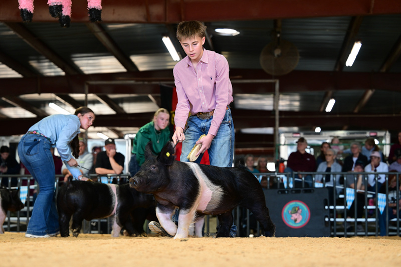 25GTT- RingAHamps-8471.jpg