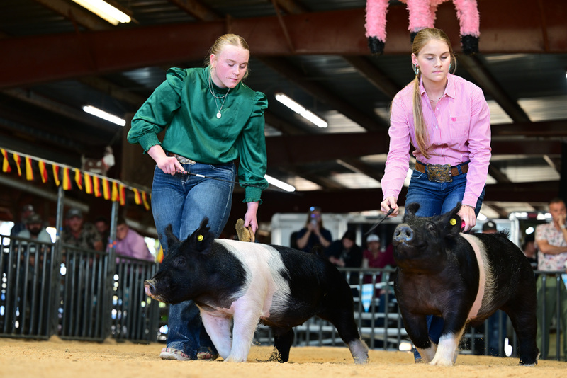 25GTT- RingAHamps-8473.jpg