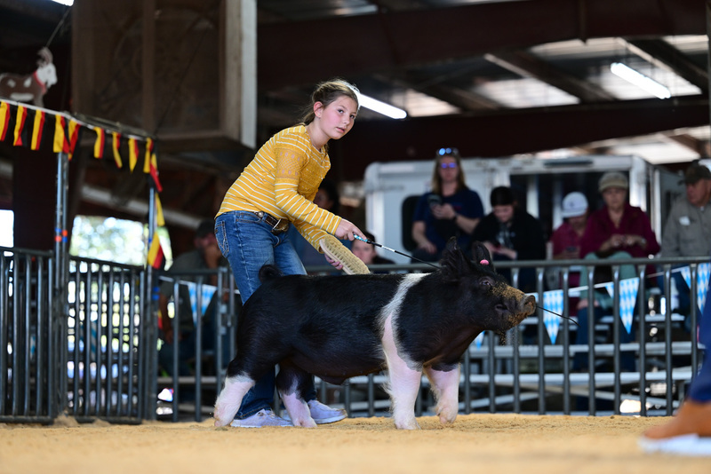 25GTT- RingAHamps-8477.jpg