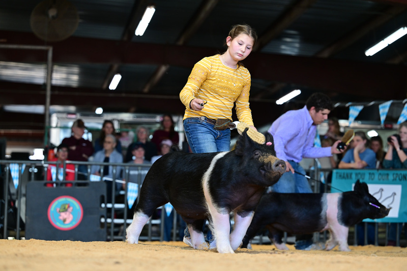 25GTT- RingAHamps-8479.jpg