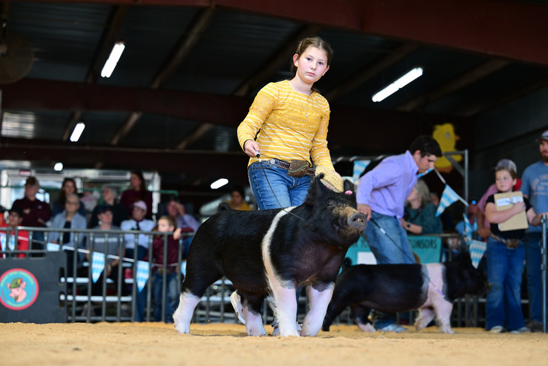 25GTT- RingAHamps-8480.jpg