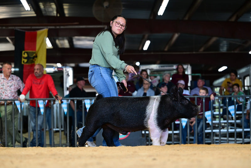 25GTT- RingAHamps-8481.jpg