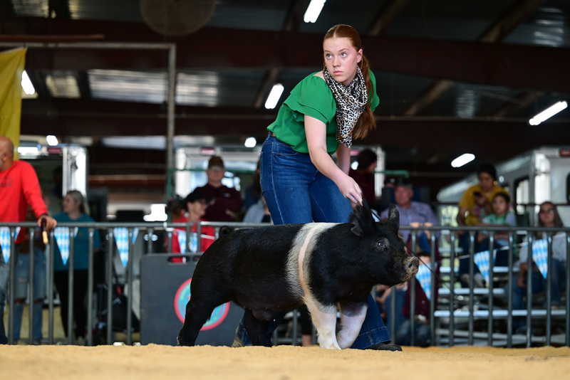 25GTT- RingAHamps-8483.jpg