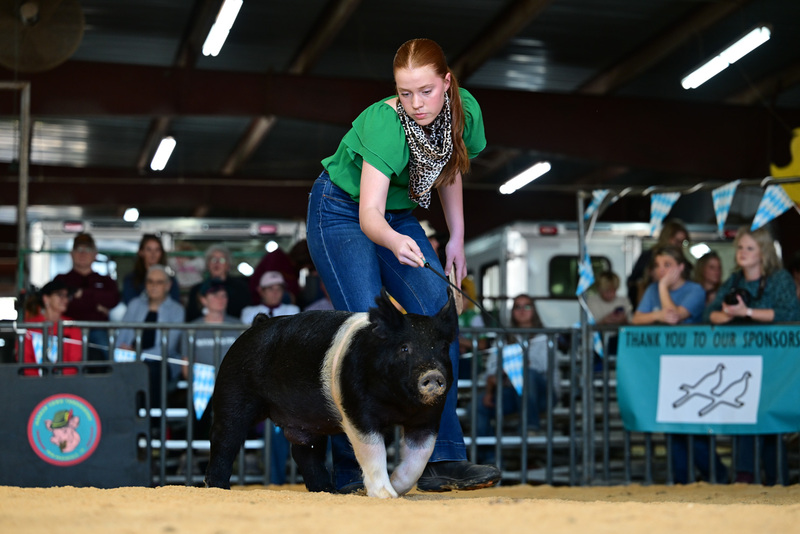 25GTT- RingAHamps-8484.jpg