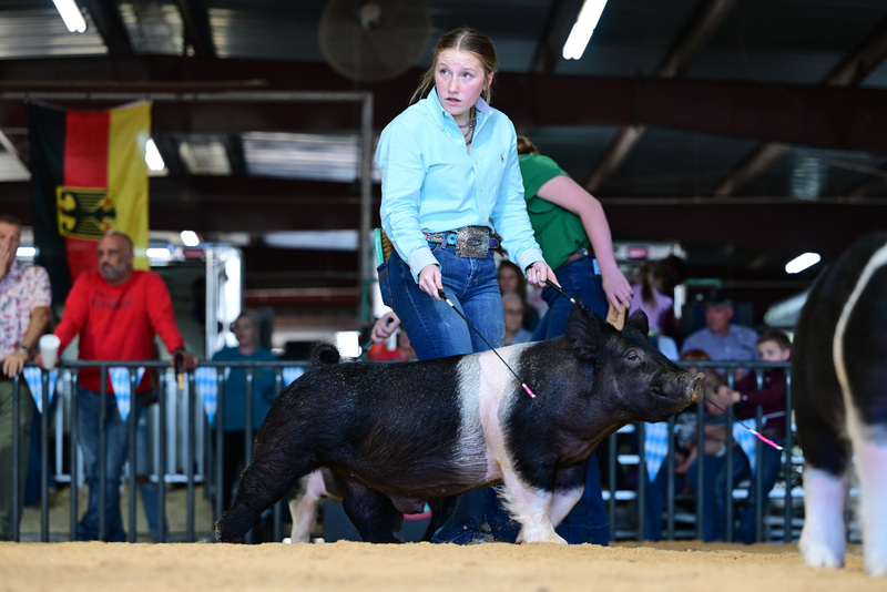 25GTT- RingAHamps-8486.jpg