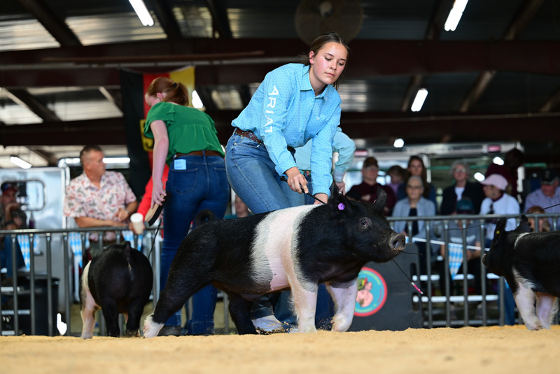 25GTT- RingAHamps-8487.jpg