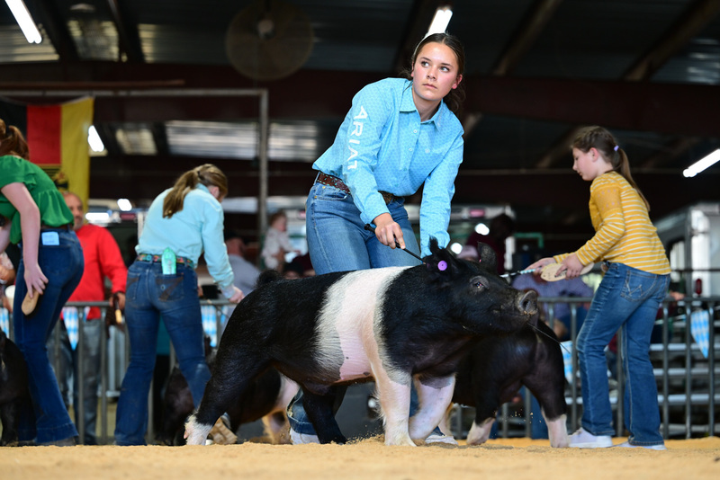 25GTT- RingAHamps-8488.jpg