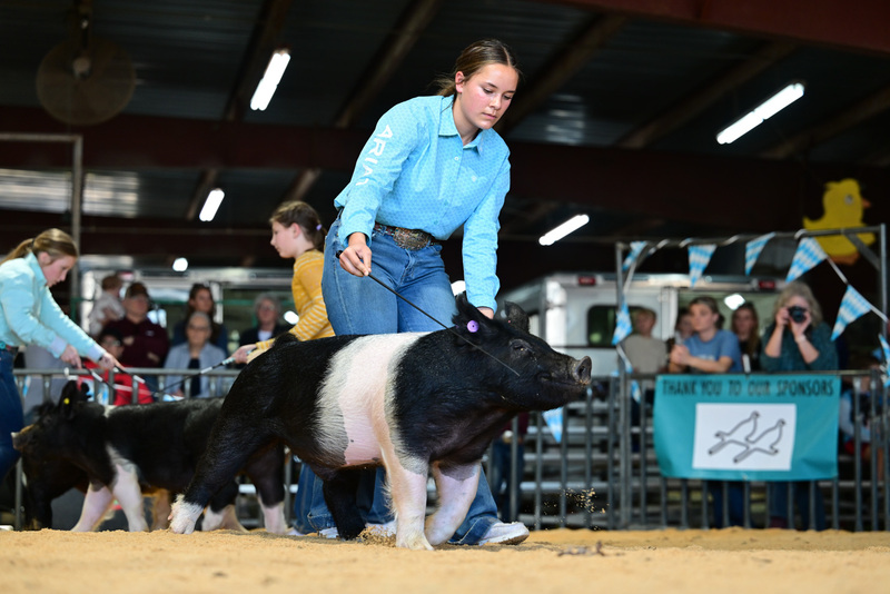 25GTT- RingAHamps-8489.jpg