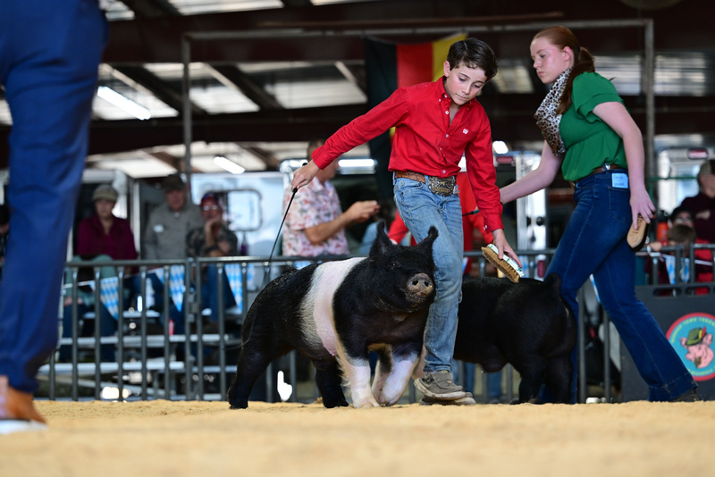 25GTT- RingAHamps-8491.jpg