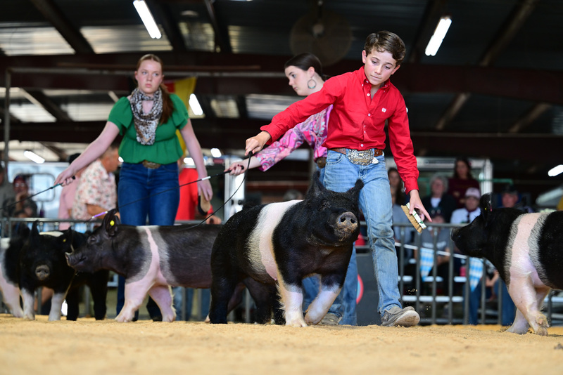 25GTT- RingAHamps-8494.jpg