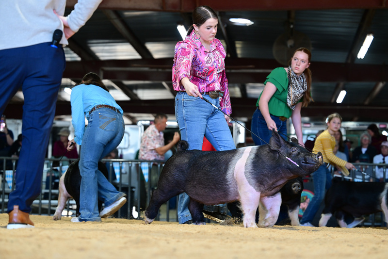 25GTT- RingAHamps-8496.jpg