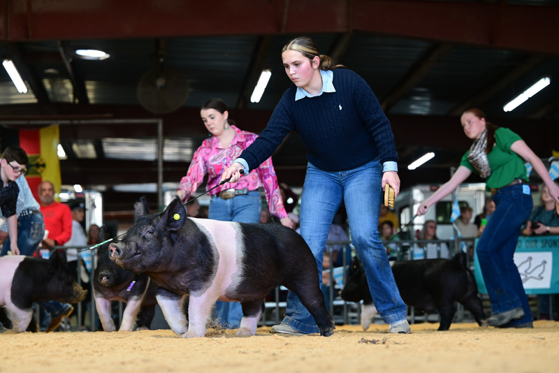 25GTT- RingAHamps-8499.jpg