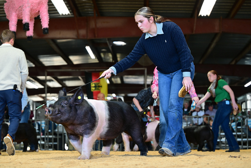 25GTT- RingAHamps-8501.jpg