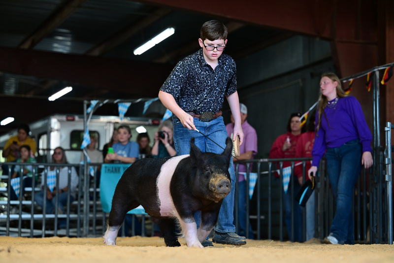 25GTT- RingAHamps-8502.jpg