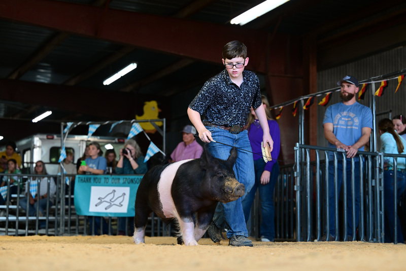 25GTT- RingAHamps-8503.jpg