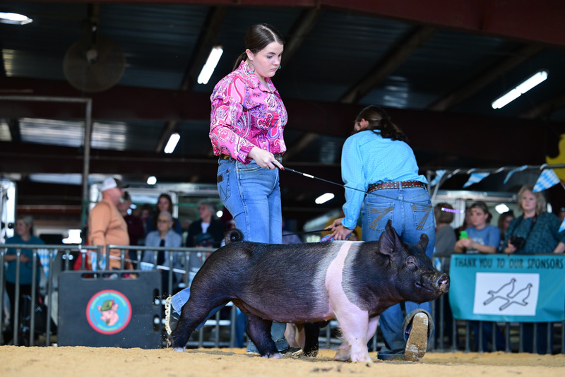 25GTT- RingAHamps-8504.jpg