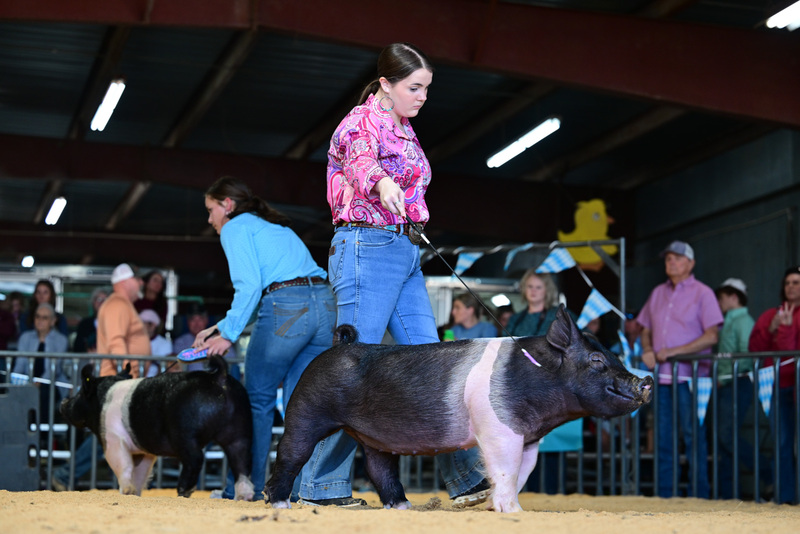 25GTT- RingAHamps-8505.jpg