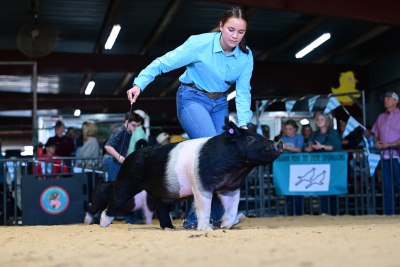 25GTT- RingAHamps-8506.jpg