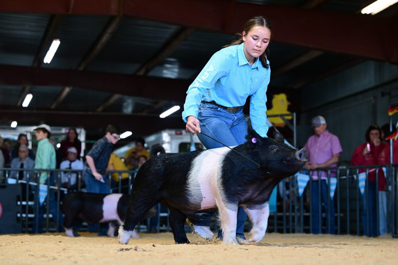 25GTT- RingAHamps-8507.jpg