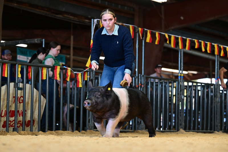 25GTT- RingAHamps-8508.jpg