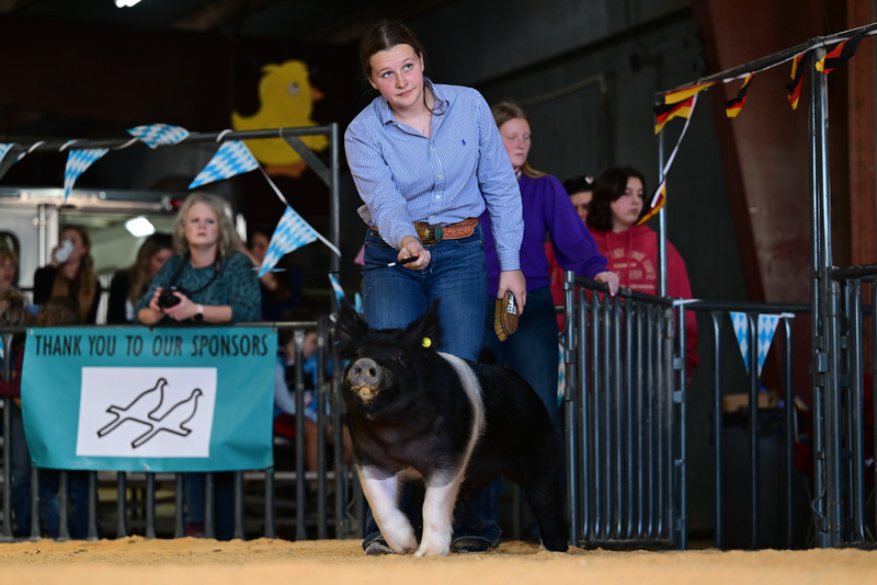 25GTT- RingAHamps-8509.jpg