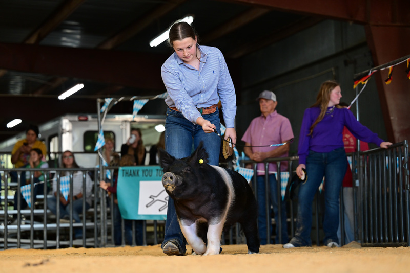 25GTT- RingAHamps-8511.jpg