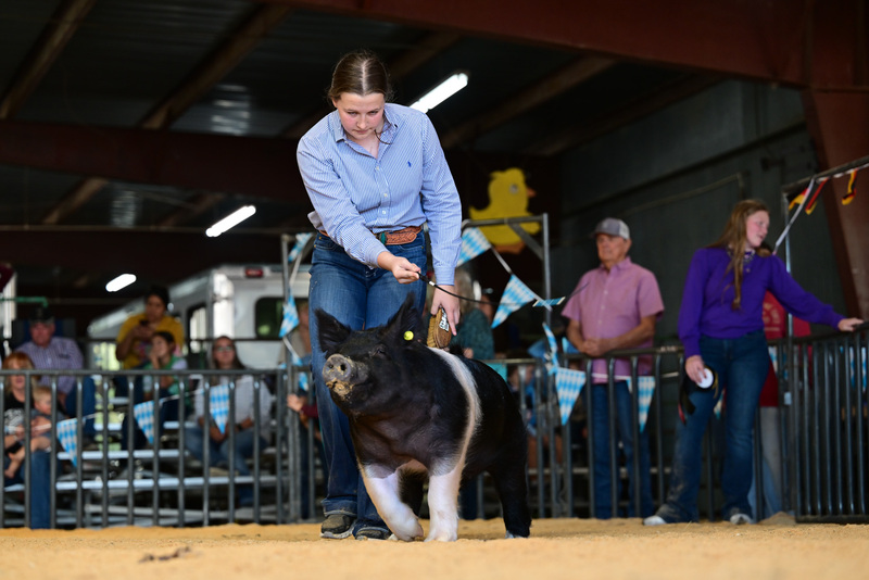 25GTT- RingAHamps-8512.jpg