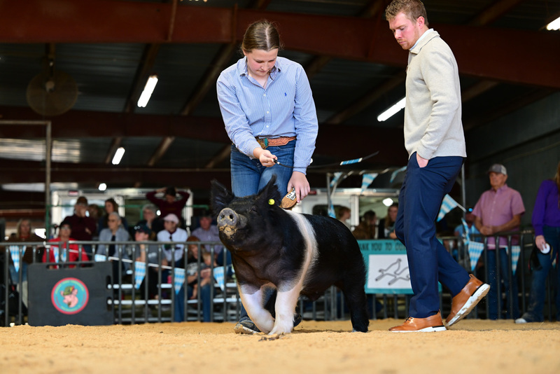 25GTT- RingAHamps-8514.jpg