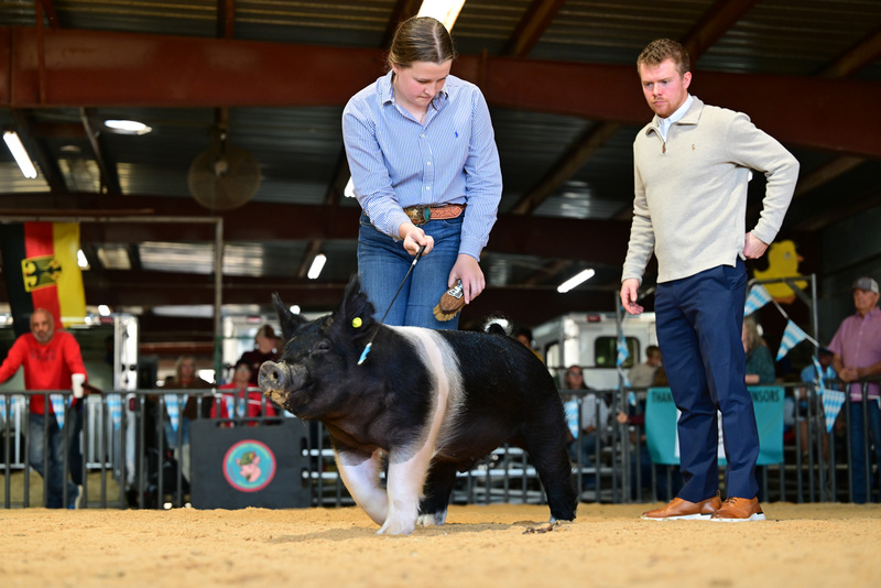 25GTT- RingAHamps-8515.jpg