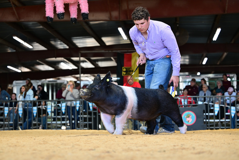 25GTT- RingAHamps-8516.jpg