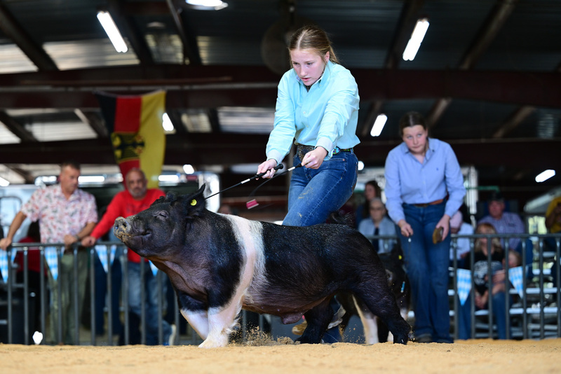 25GTT- RingAHamps-8520.jpg