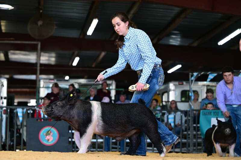 25GTT- RingAHamps-8523.jpg