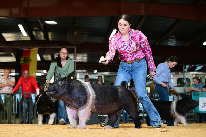 25GTT- RingAHamps-8528.jpg