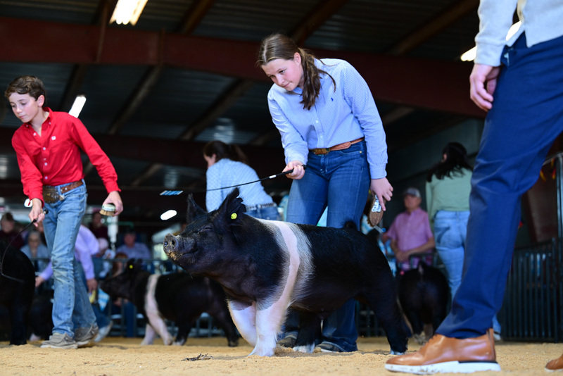 25GTT- RingAHamps-8530.jpg