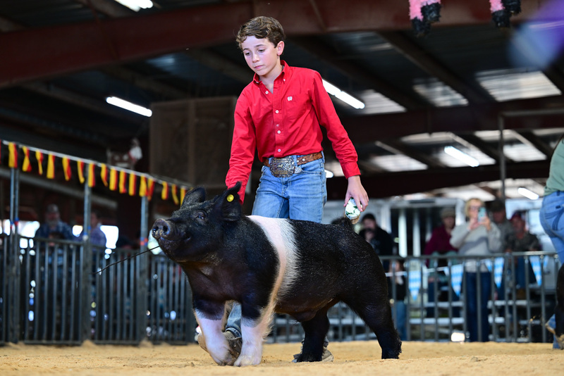 25GTT- RingAHamps-8533.jpg