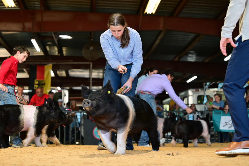 25GTT- RingAHamps-8535.jpg