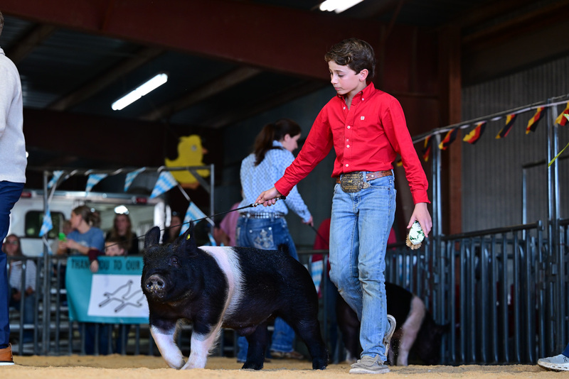 25GTT- RingAHamps-8536.jpg