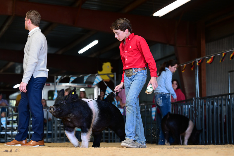 25GTT- RingAHamps-8537.jpg