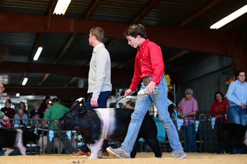 25GTT- RingAHamps-8538.jpg