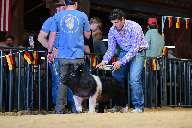 25GTT- RingAHamps-8539.jpg