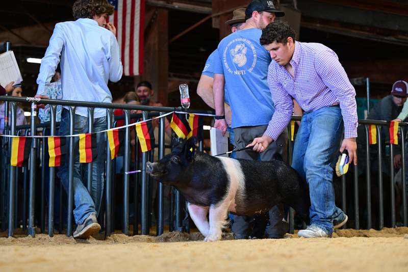 25GTT- RingAHamps-8540.jpg